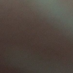 Meet your Posher, Isabella